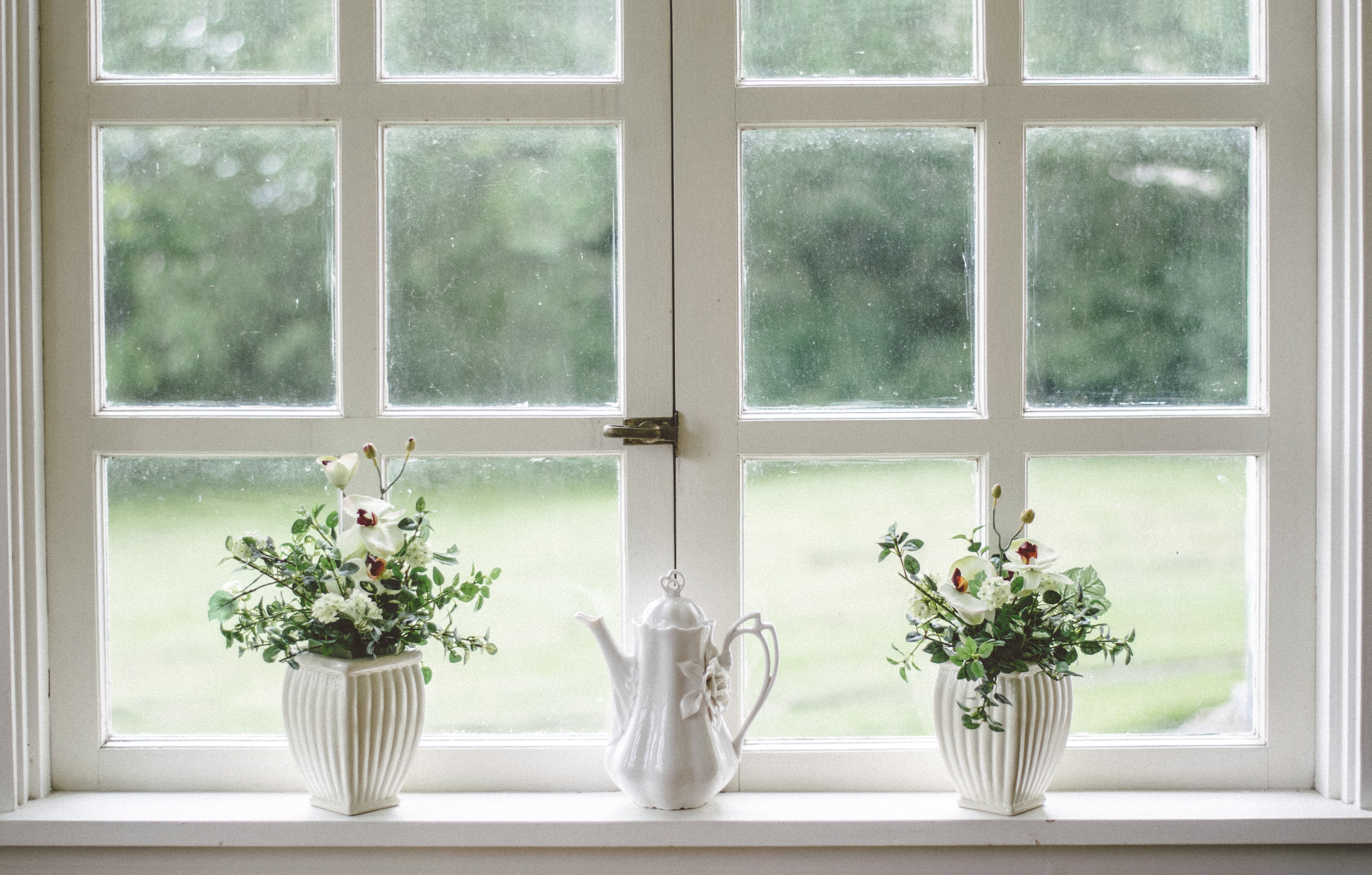 Flowers on a window sill